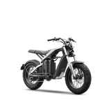 Segway Xyber boldest adventures Electric Bike